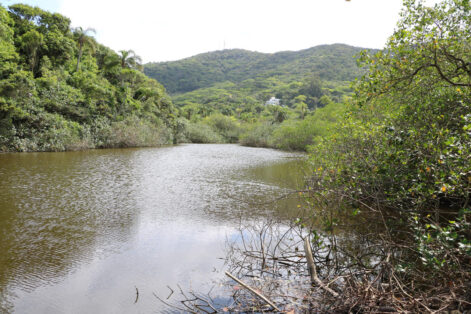 Análise aponta que Lagoa de Taquaras em Balneário Camboriú está própria para banho