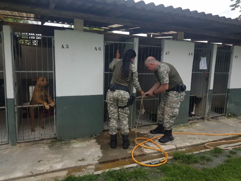 Grupo de Proteção Ambiental já resgatou 44 animais este ano em Balneário Camboriú