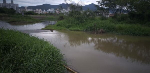 Nível do Rio sobe e Emasa descarta racionamento ou rodízio de água em Balneário Camboriú e Camboriú