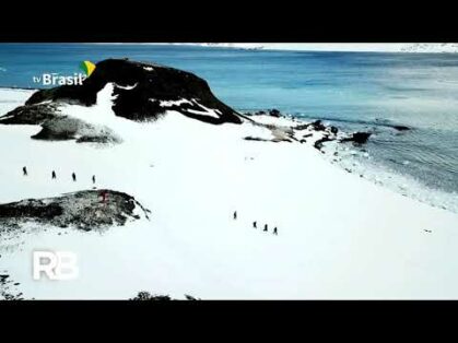 Governo reativa comitê nacional de pesquisas na Antártica