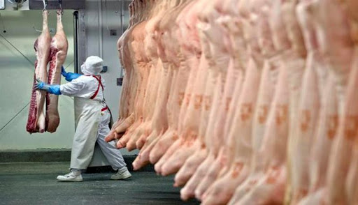 SC atinge marca histórica com aumento de 35% nas exportações de carne suína