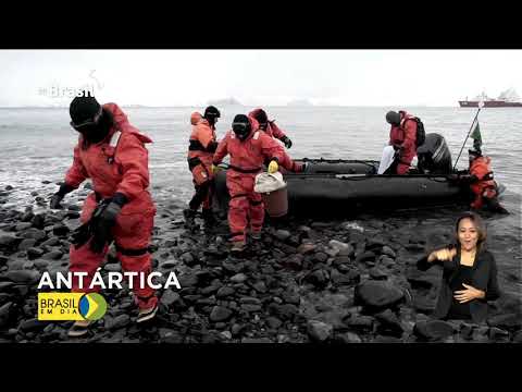 novo-comite-vai-gerir-pesquisas-do-pais-na-antartica