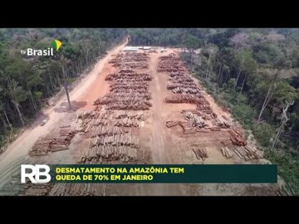 Desmatamento na Amazônia cai 70% em janeiro