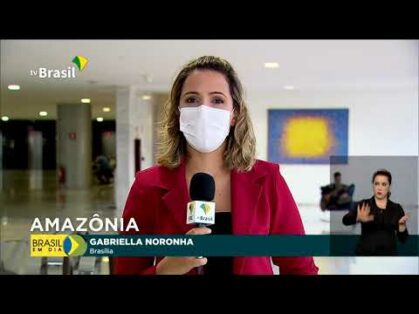 Desmatamento na Amazônia cai em janeiro