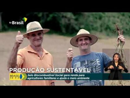 Selo Biocombustível Social gera renda para agricultores familiares e ajuda o meio ambiente