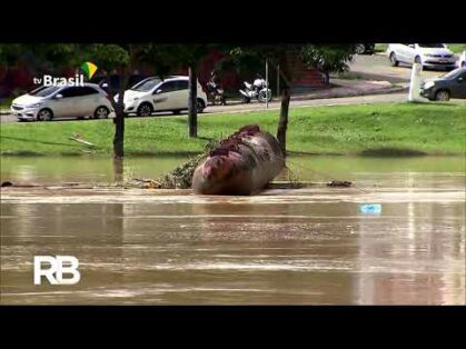 Governo libera 450 milhões para o Acre lidar com as cheias dos rios