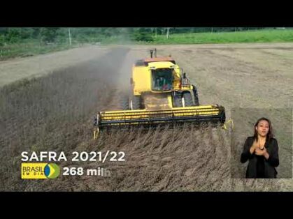 Banco do Brasil libera mais crédito ao agricultor custear a safra