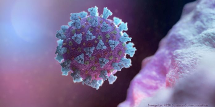 estudo-da-unb-investiga-cepas-do-novo-coronavirus-encontradas-no-df