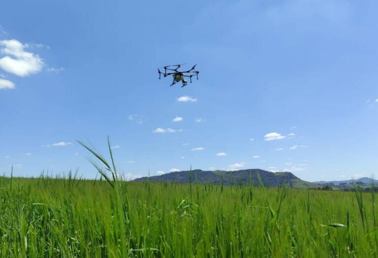 Cidasc alerta para obrigatoriedade de registro de prestadores de serviços com drones pulverizadores de agrotóxicos junto à companhia