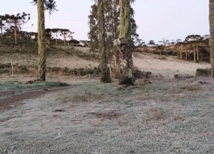 Urupema registra -7,2°C na madrugada de domingo, a menor temperatura do ano em Santa Catarina