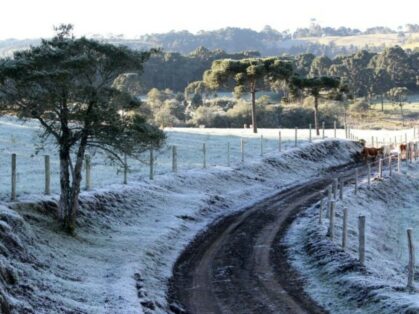 Monitoramento do frio da Epagri/Ciram oferece novas informações para apoiar fruticultura de clima temperado em SC