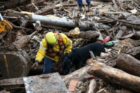 CBMSC finaliza operação no RS com resgate de mais de 3 mil pessoas e 560 animais