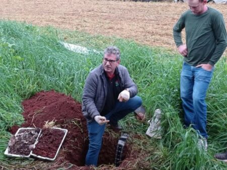 Com apoio da Epagri, propriedade de Itapiranga se torna modelo de agricultura sustentável