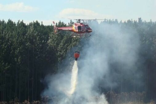 Corpo de Bombeiros Militar orienta sobre como prevenir incêndios florestais