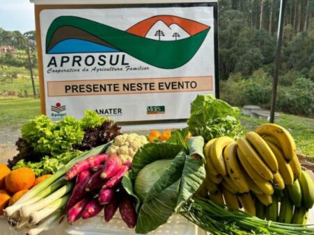 Epagri faz primeira entrega do ano em São Bento do Sul do Programa de Aquisição de Alimentos