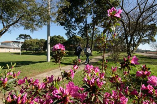 Udesc divulga quinta chamada do Vestibular de Inverno 2024