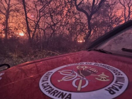 Bombeiros militares de Santa Catarina atuam no combate às chamas no Mato Grosso 