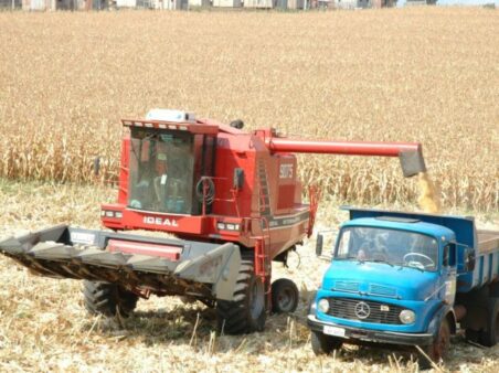 Safra de verão em SC: Epagri/Cepa estima aumento na produção das principais culturas agrícolas