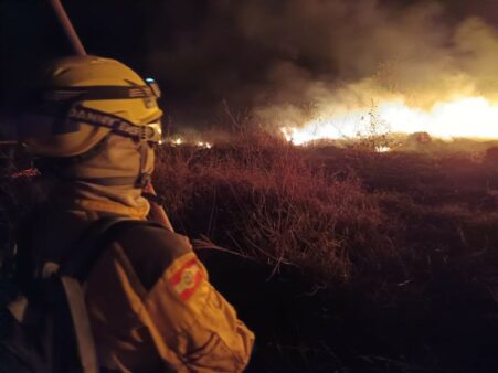 Queimadas no Pantanal: bombeiros de Santa Catarina completam cinco dias de combate às chamas