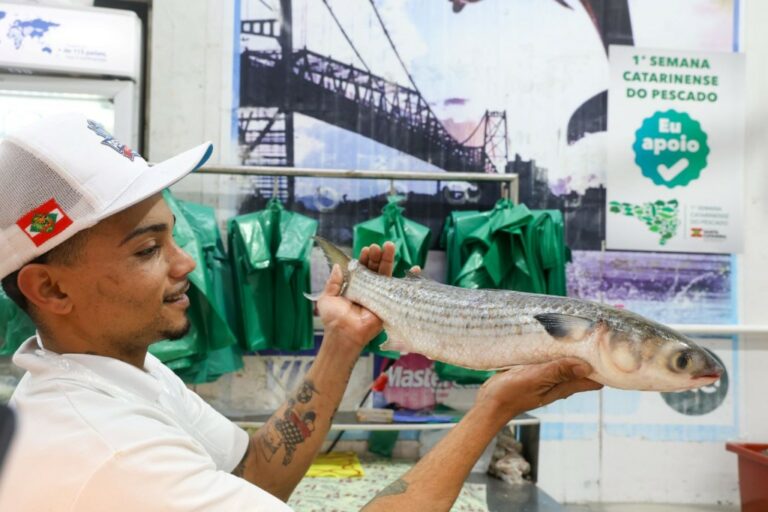 Primeira Semana Estadual de Incentivo ao Consumo de Peixes e Frutos do Mar tem início em Santa Catarina