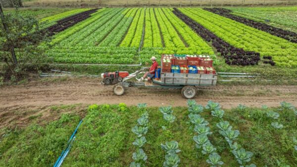 Governo do Estado destina mais de R$ 40 milhões em agosto para projetos de apoio direto aos produtores