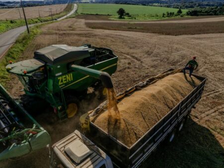 Santa Catarina registra aumento de 17,5% na produção de cereais, leguminosas e oleaginosas