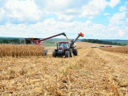 Observatório Agro Catarinense: Santa Catarina tem ferramenta inovadora para orientar a agropecuária por dados