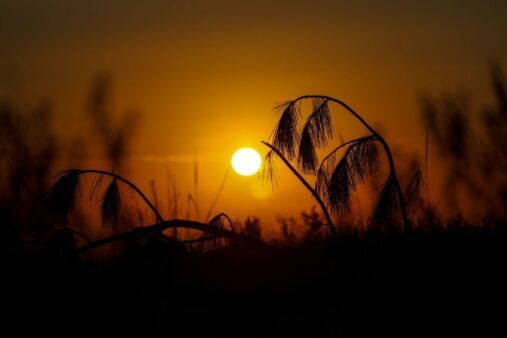 Previsão do Tempo: domingo de eleições será de sol e temperaturas agradáveis em SC