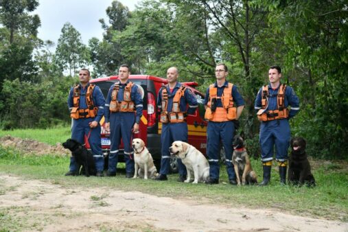 Binômios do CBMSC participam pela primeira vez de competição Sul-Americana de cães de trabalho