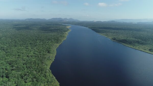 Descarbonizar: as iniciativas da Secretaria do Meio Ambiente e Economia Verde para diminuir a emissão de carbono em SC