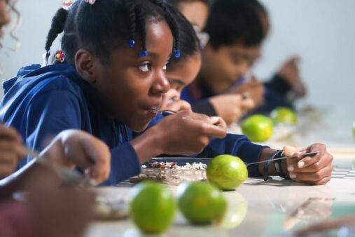 SC terá evento de Formação em Educação Alimentar e Nutricional no dia 16 de outubro