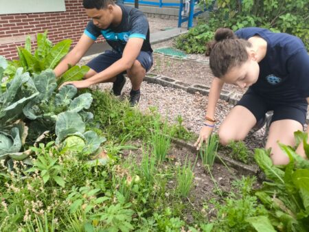 Dia da Alimentação na Escola: projeto de hortas pedagógicas transforma paladar de estudantes