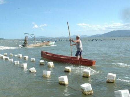 Reunião em Florianópolis discute sobre áreas remanescentes para produção de frutos do mar