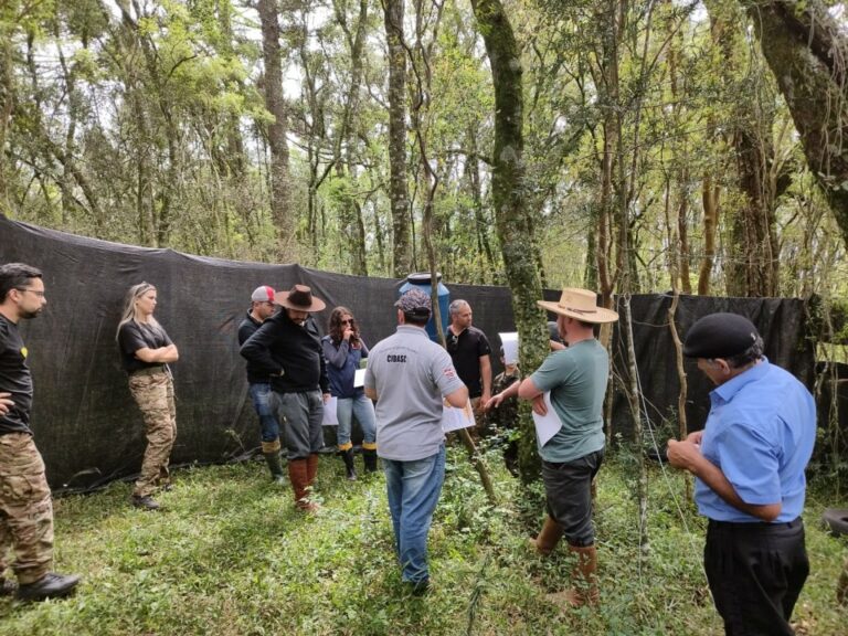 IMA e organizações parceiras oferecem capacitação para controle de javali com uso de armadilhas