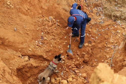 Cão de busca dos bombeiros de Rio do Sul passa por treinamento para atuação em operações de resgate