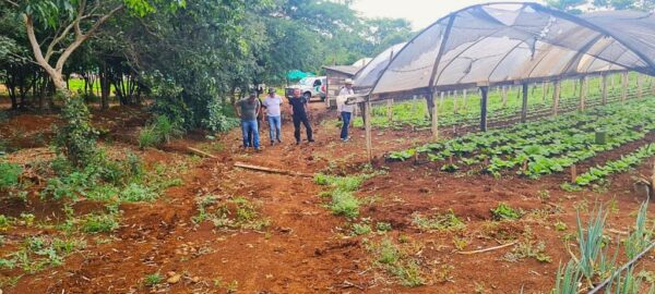 Penitenciária Agrícola de Chapecó dá exemplo na produção de alimentos