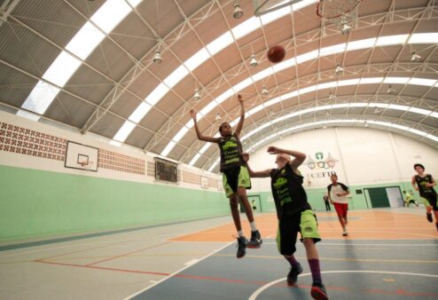 Udesc Cefid realiza peneiras de basquete para crianças e adolescentes no próximo sábado em Florianópolis