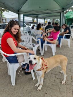 Último mutirão de castração do ano já tem mais da metade das vagas preenchidas