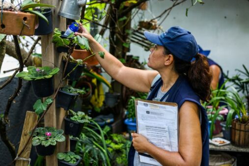 Dia D do combate à dengue: Secretaria da Saúde recomenda ações aos municípios