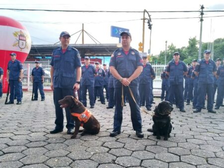 Homenagem marca aposentadoria dos cães Bravo e Chewbacca do Corpo de Bombeiros Militar de SC