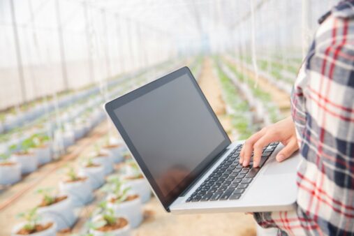 Câmara Setorial da Agroinovação cria Grupos de Trabalho para ampliar ações de conectividade e tecnologia para o campo