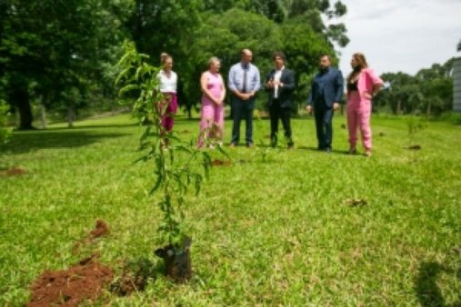 Programa Alesc Sustentável promove cine-debate sobre questões ambientais