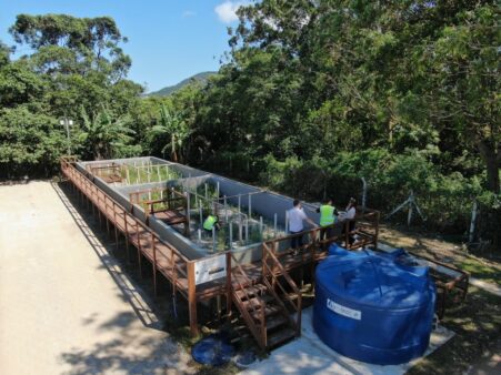 Casan avança no uso de soluções baseadas na natureza para o tratamento de esgoto