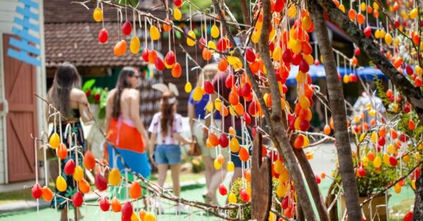 Com novas Rotas Internacionais, SC Impulsiona Turismo