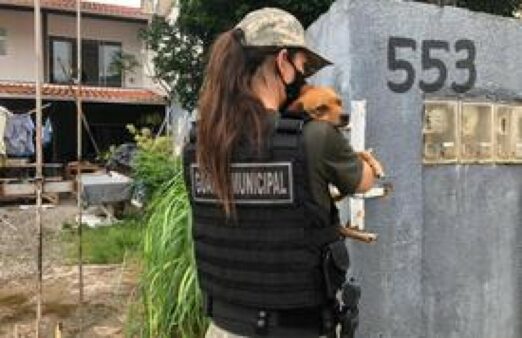 Prefeitura de Balneário Camboriú orienta população sobre como denunciar maus-tratos a animais