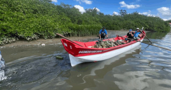 Sensores são instalados no Rio Camboriú para monitorar a água