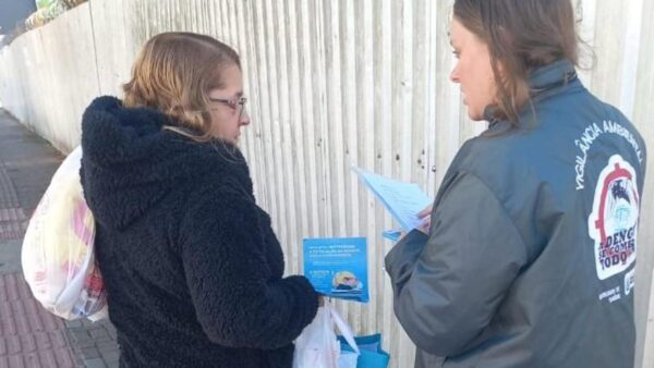 Dengue: primeiros mosquitos com Wolbachia serão soltos em BC no próximo mês