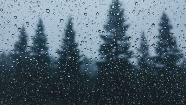 Tempo fechado em SC: chuva e frio seguem firmes nos próximos dias