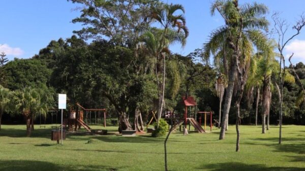 Plano ambiental prevê mil novas árvores em Balneário Camboriú até 2026