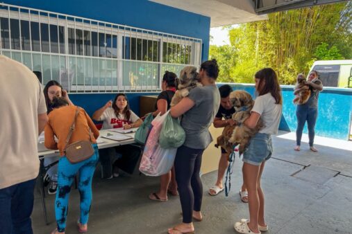 Balneário Camboriú realiza mutirões de castração gratuita nos bairros das Nações e da Barra